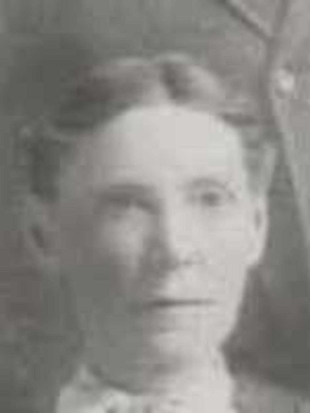 Catherine Forbes Hunter (1854 - 1935) Profile
